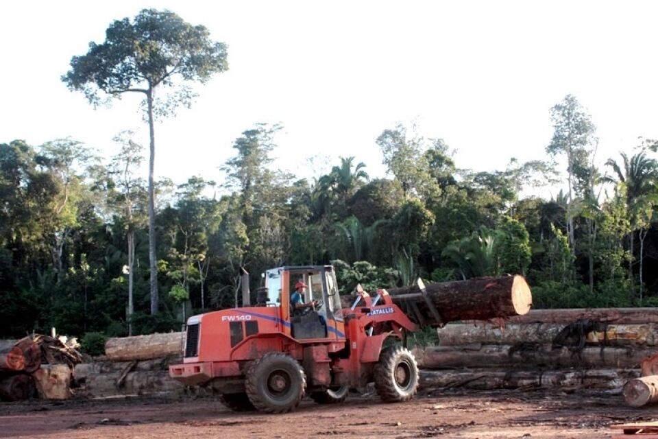 Porto Velho, maior que os estados de Alagoas e Sergipe, perderá a Ponta do Abunã