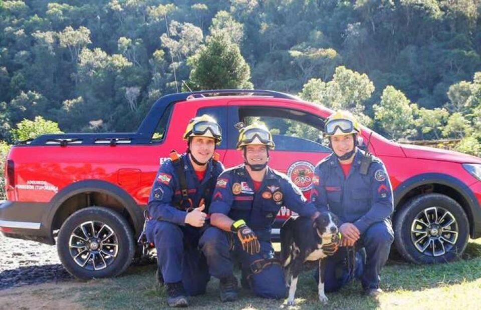 Bombeiros resgatam cachorro que passou seis dias em penhasco em SC