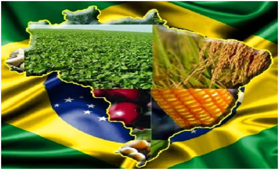 As razões pelas quais o Brasil é um dos maiores produtores agrícolas do mundo.