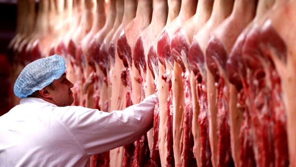 Sem exportar, setor de carne já acumula prejuízo com greve