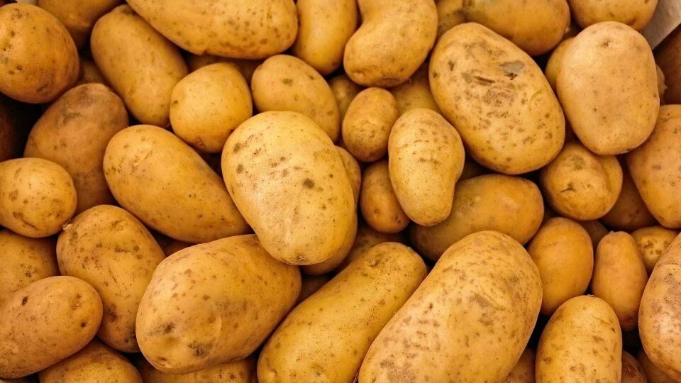 Em uma semana, preço do kg de batata passa de R$ 1,61 para R$ 17,50