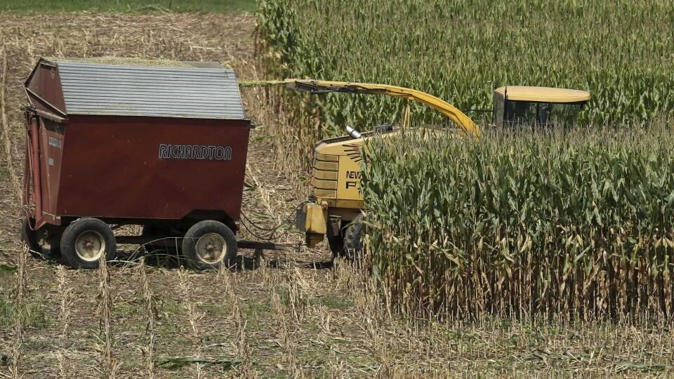 Setor agrícola inicia retomada com a liberação parcial das estradas