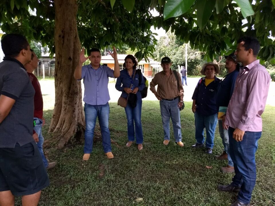Prefeitura de Porto Velho quer certificar farinha produzida no Município