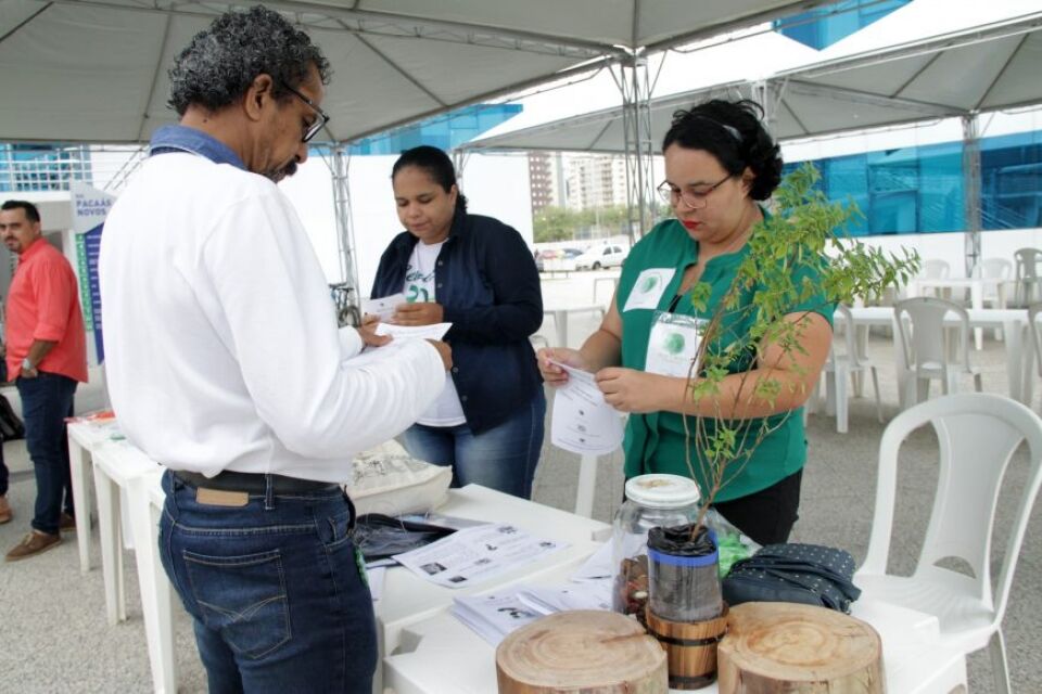 Artesãos expõem produtos sustentáveis na Praça do Palácio