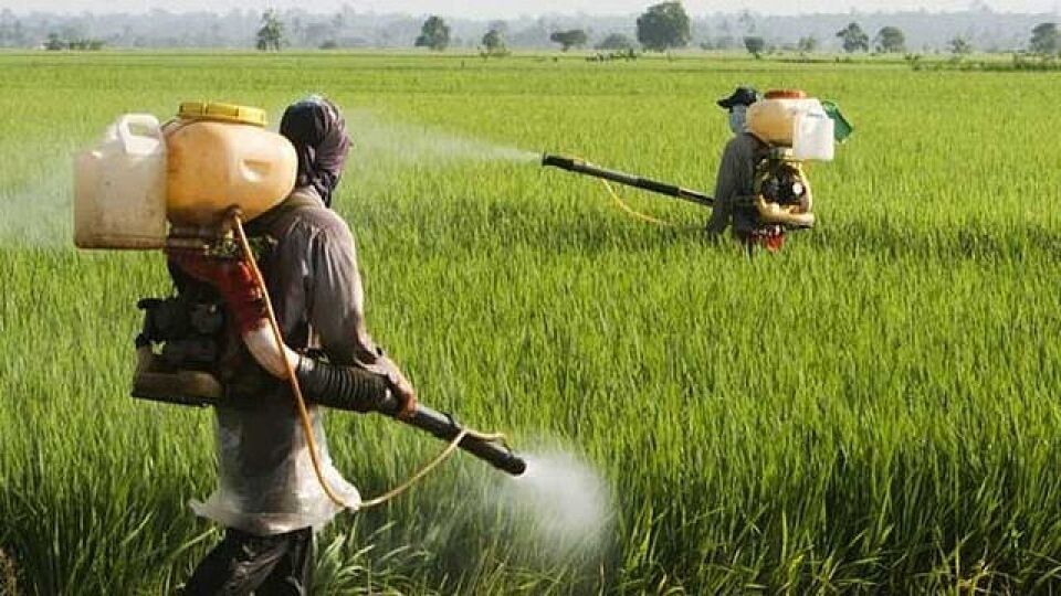 Rondônia subnotifica casos de intoxicações por agrotóxicos