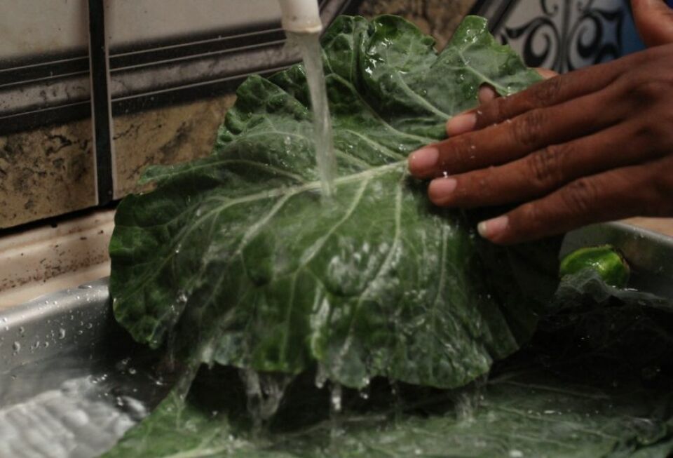 Higienização correta ajuda a eliminar agrotóxicos de alimentos; veja dicas de nutricionista