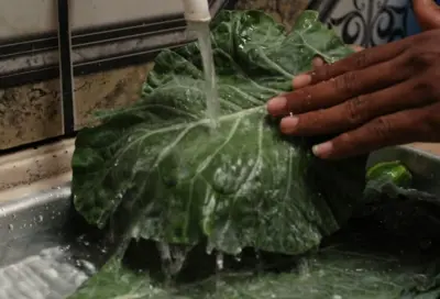 Higienização correta ajuda a eliminar agrotóxicos de alimentos; veja dicas de nutricionista