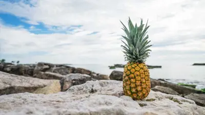 Dieta do abacaxi: vale a pena fazer?