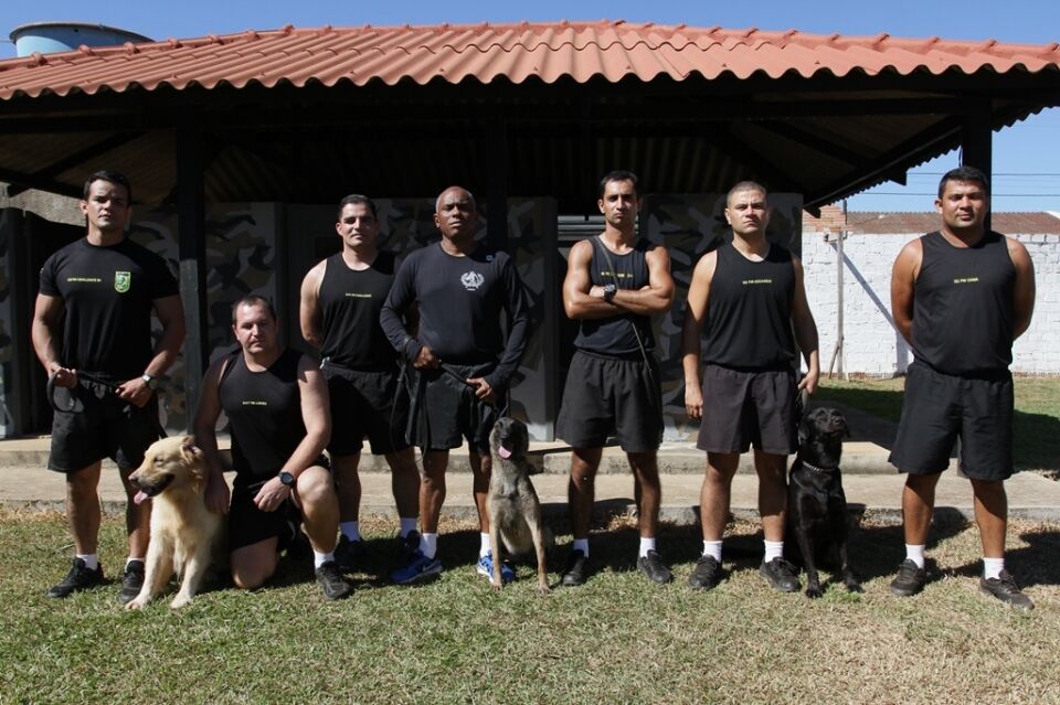 Cães farejadores treinam todo dia na zona sul de Porto Velho