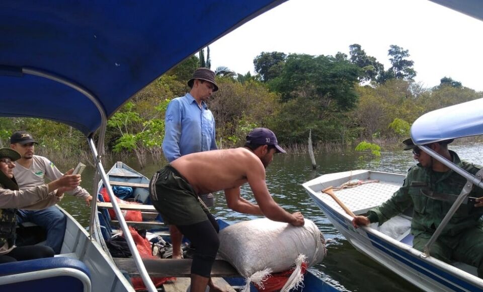 Grupo é preso por extrair açaí em área de reserva florestal em Candeias