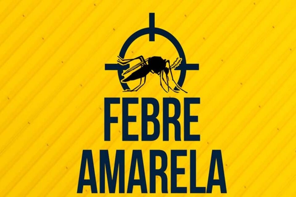 Porto Velho: Semusa realiza ação de bloqueio para detectar novos casos de febre amarela em macacos
