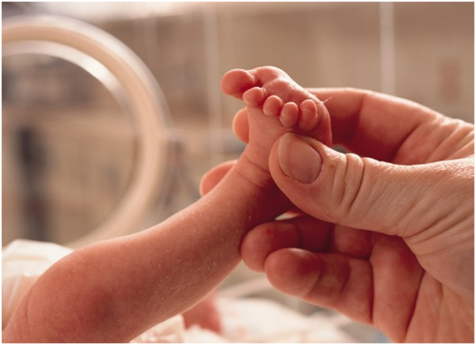 Projeto de lei permite acompanhantes a parturientes