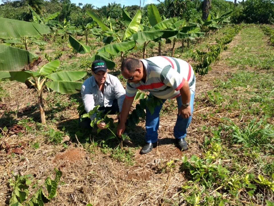Prefeitura de Porto Velho promove Dia de Campo em Rio Pardo