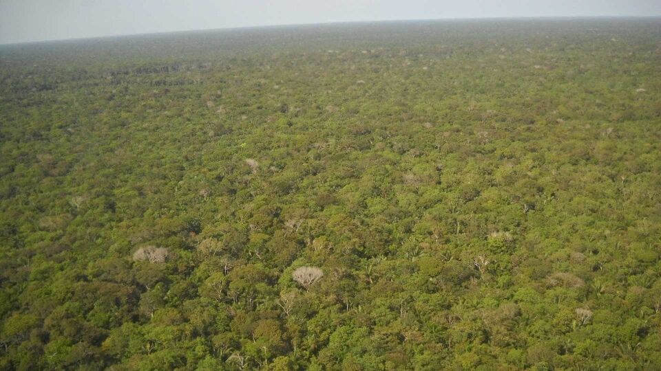 Brasil corre risco de não cumprir meta contra aquecimento global