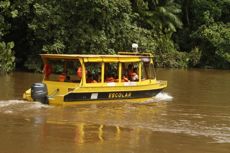 Justiça libera valores retidos e transporte deve ser regularizado em até sete dias