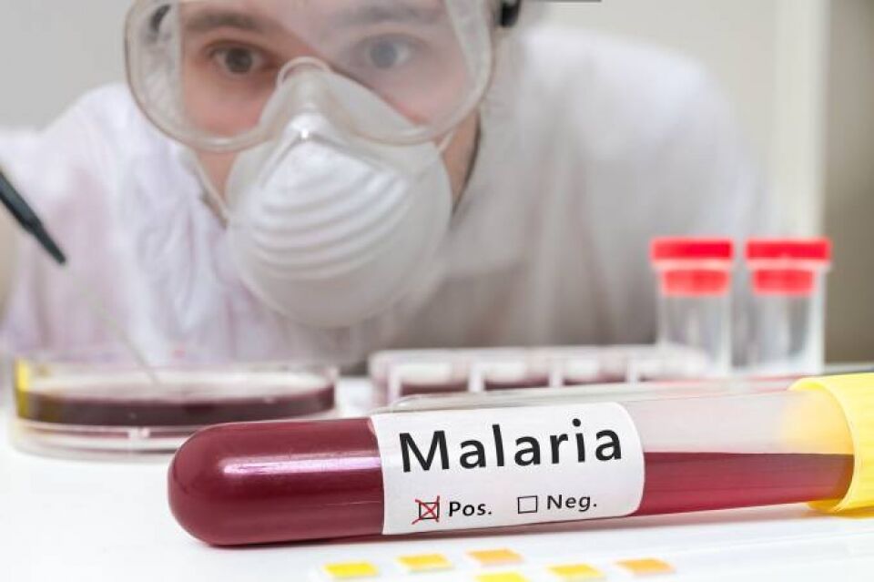 Medicamento que trata malária com apenas 1 dose é aprovado nos EUA