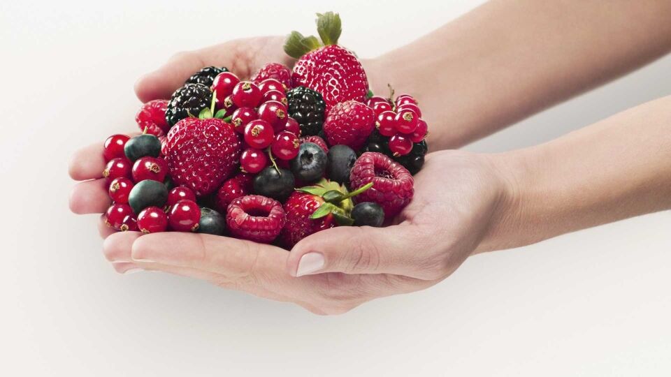 11 alimentos antioxidantes para envelhecer devagar (e bem)