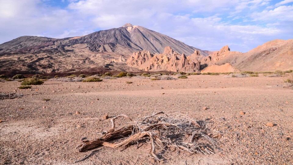 Polícia dos EUA resgata 11 crianças em condições desumanas