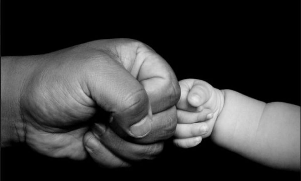 Notícias Tudo Aqui parabeniza todos os pais pelo seu dia