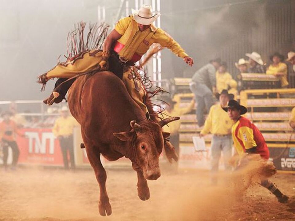 Feira Porto Agro Edição  2018