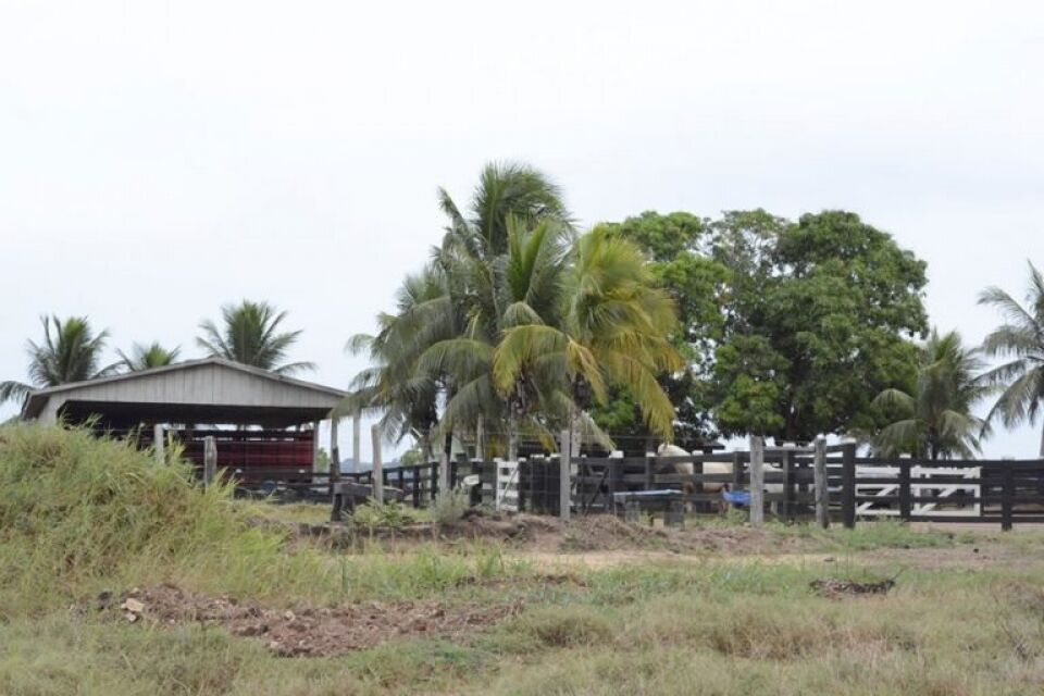 Bandidos são mortos pela PM durante roubo a fazenda em Ariquemes