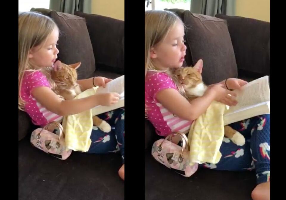 Menina conta histórias para gato dormir