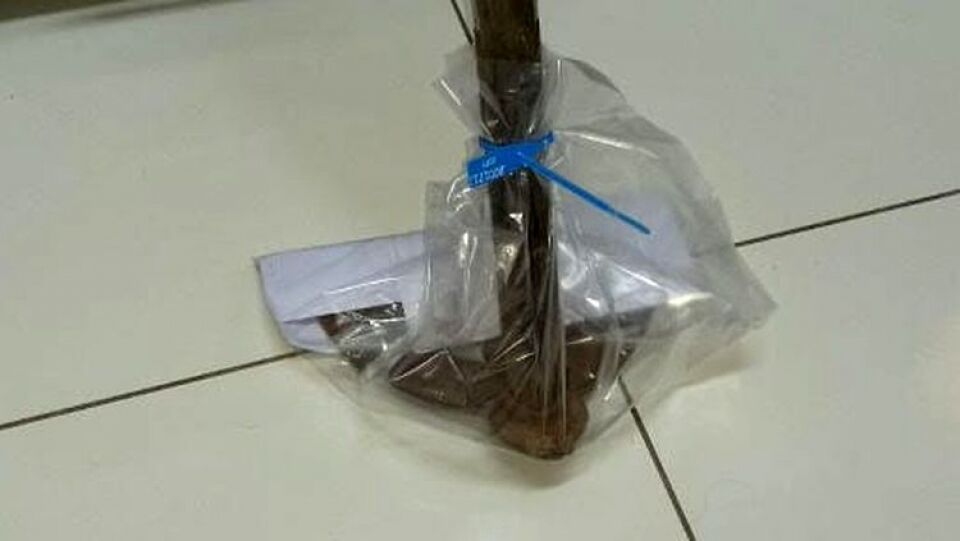 Policial militar é preso após atacar mulher a golpes de enxada