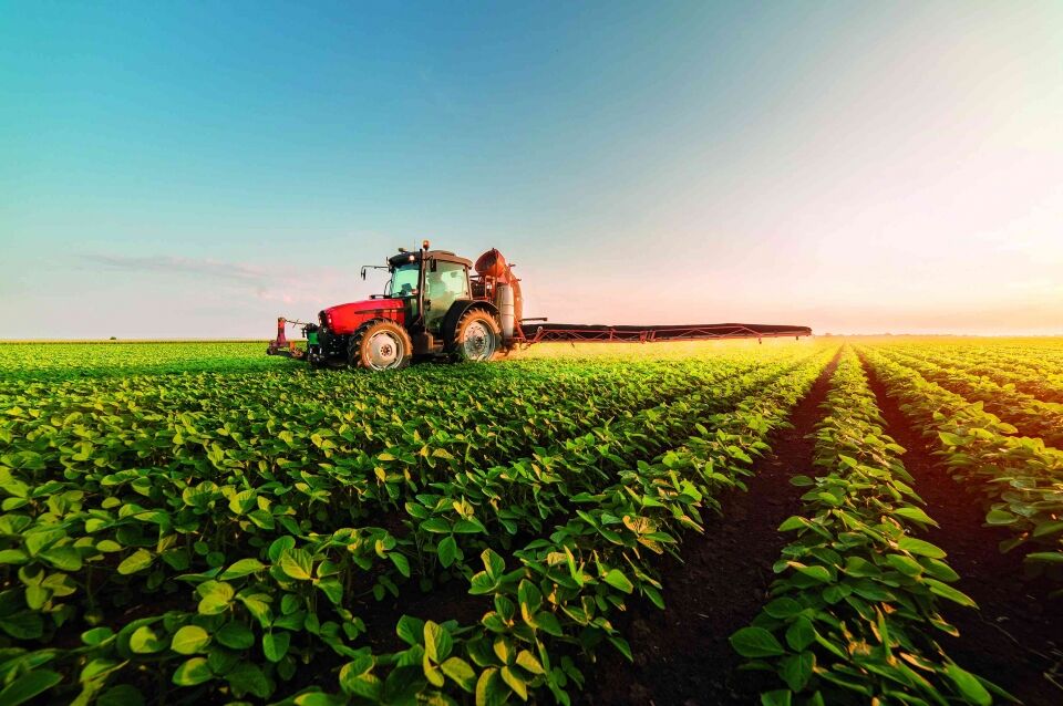 Emater ensina novas tecnologias para produção de alimentos