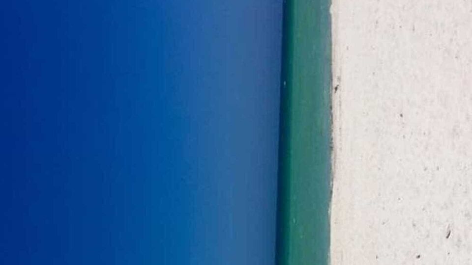 Novo mistério da internet: porta ou praia?