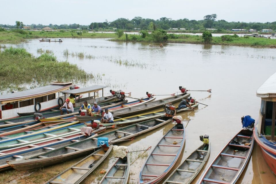 Cadê o projeto para Amazônia? Candidatos passam ao largo do tema.