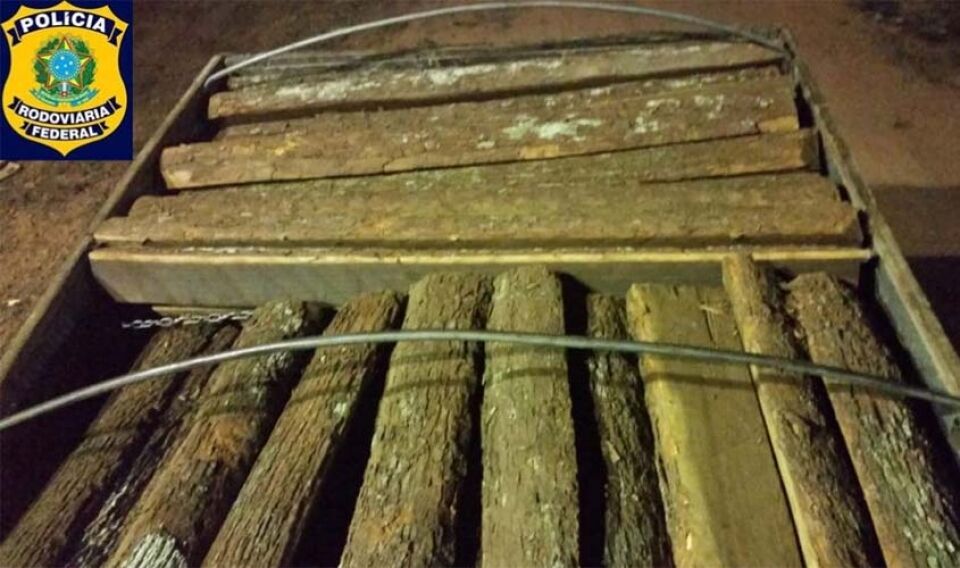 Em Porto Velho, PRF apreende carga de madeira transportada sem documentação