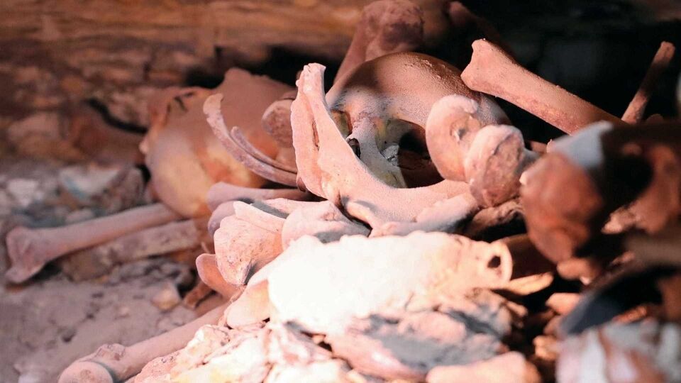 Fossa clandestina com pelo menos 166 corpos é encontrada no México