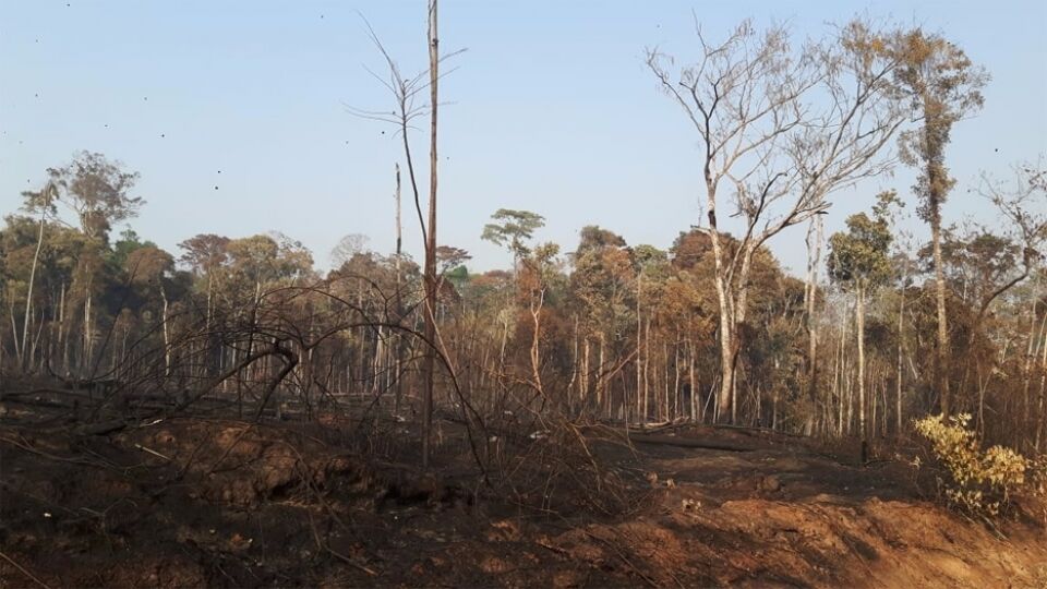 Vídeo: Incêndio já destruiu 2 mil hectares de reserva ambiental em Rondônia; Fogo continua