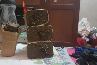 Polícia Militar apreende drogas em residência