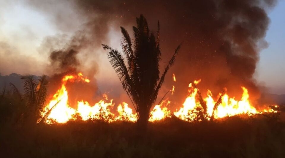 Rondônia registra quase 8 mil focos no ano e é o 2º estado que mais queima no país, aponta Inpe