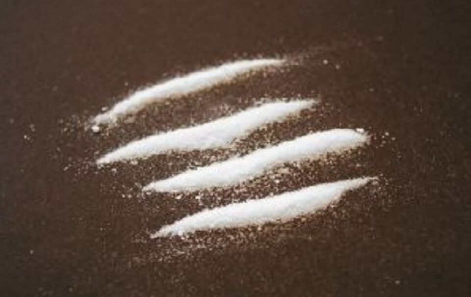 Pesquisa da UFMG descobre mecanismo capaz de apagar memória do uso de cocaína em dependentes