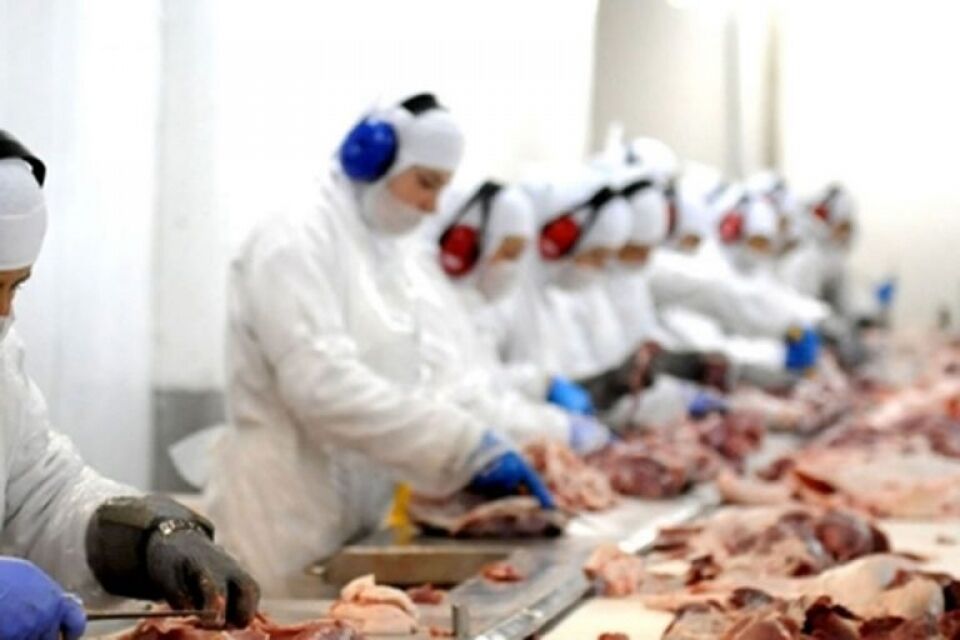 Rondônia exporta primeira remessa de carne para o Peru através da Estrada do Pacífico