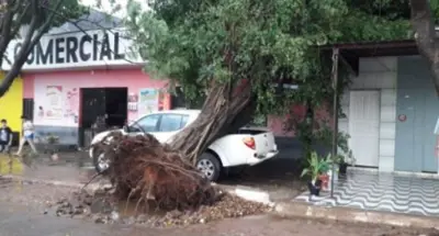 Temporal deixa moradores de Jaru com prejuízos