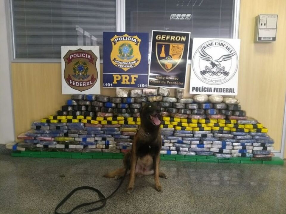 Gefron e PF interceptam mais de 200 kg de cocaína de Rondônia que seria comercializada na região Nordeste