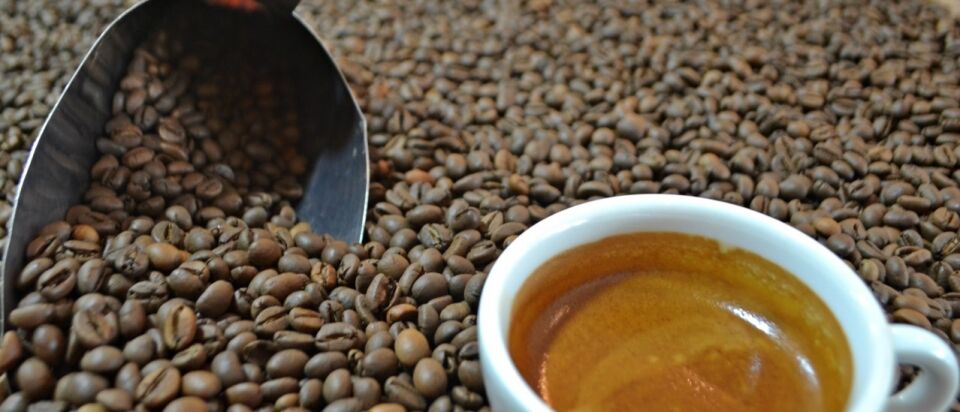 Produtor de Cacoal vence o concurso de qualidade do Café em Rondônia