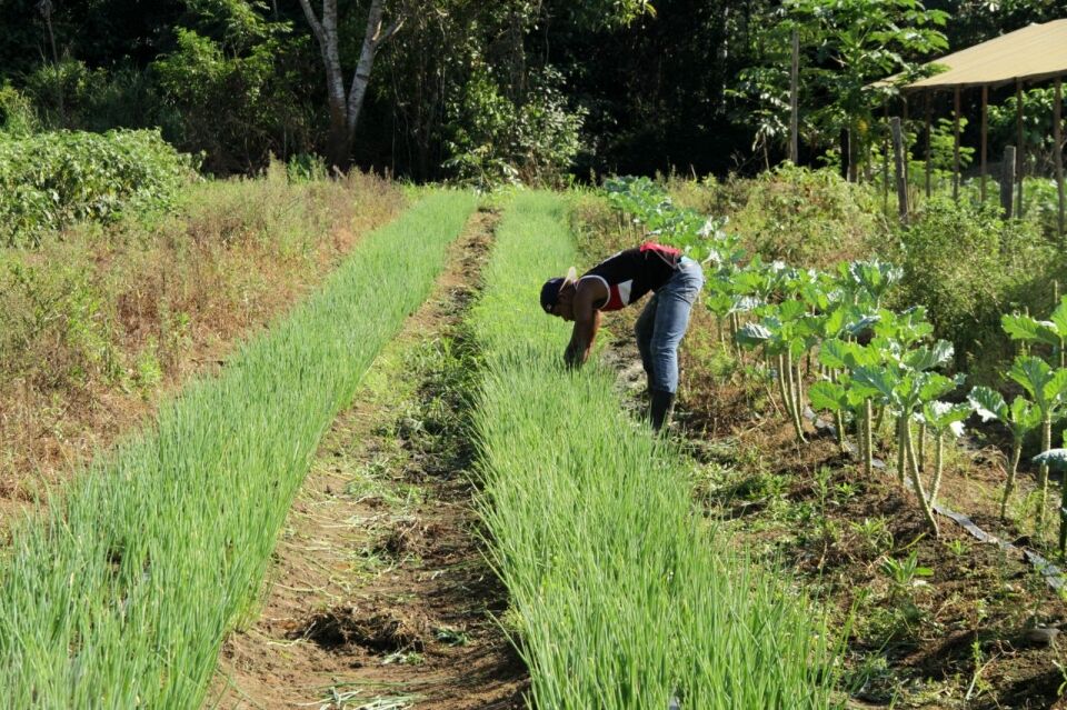Produtores rurais do Sul de Rondônia recebem certificado de reconhecimento de ocupação de propriedades