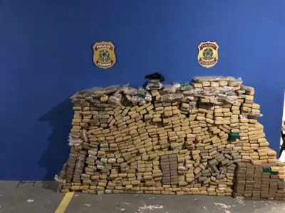 Em três meses, PF apreende quase duas toneladas de droga durante Operação Sativa