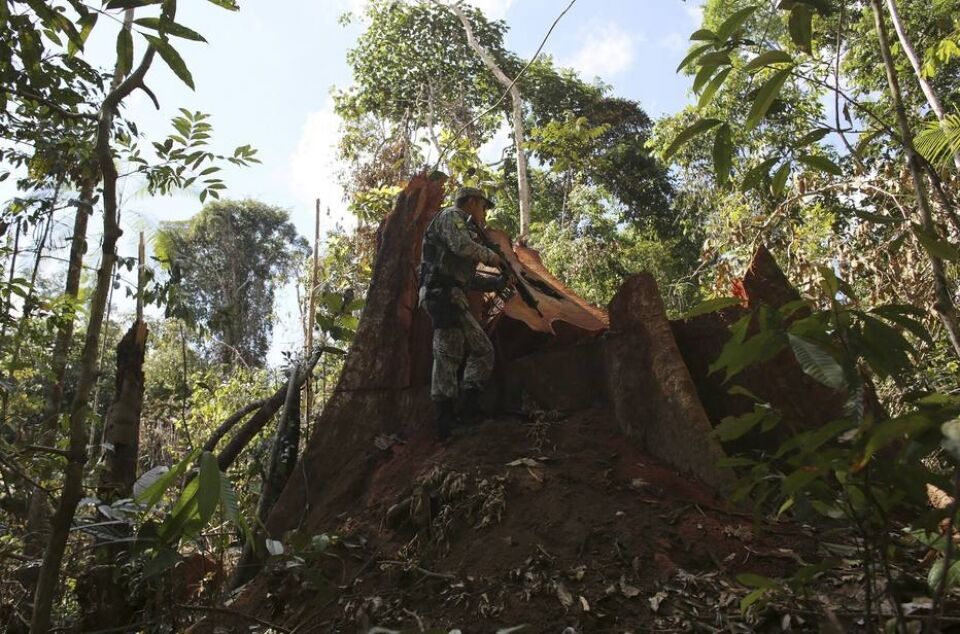 Em busca do tempo perdido na mudança do clima: resta agora reduzir danos