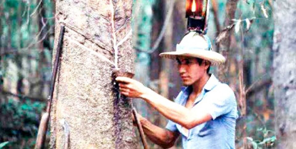 Falta semelhança aos Soldados da Borracha
