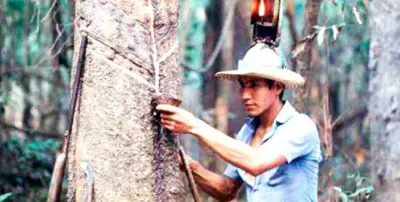 Falta semelhança aos Soldados da Borracha
