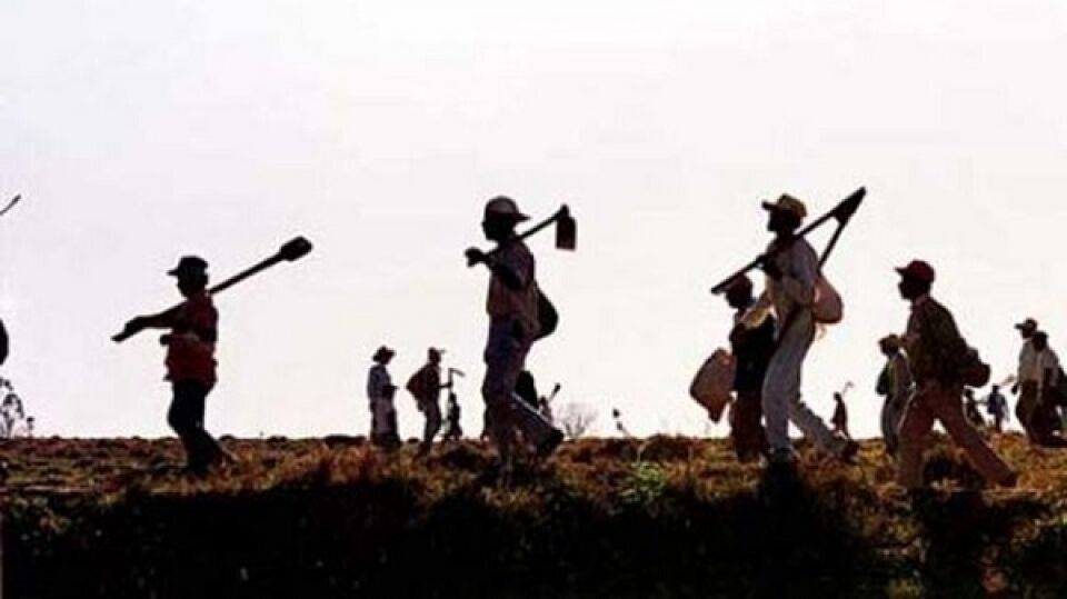 ENGANADOS: Advogadas são acusadas de dar golpe em trabalhadores rurais