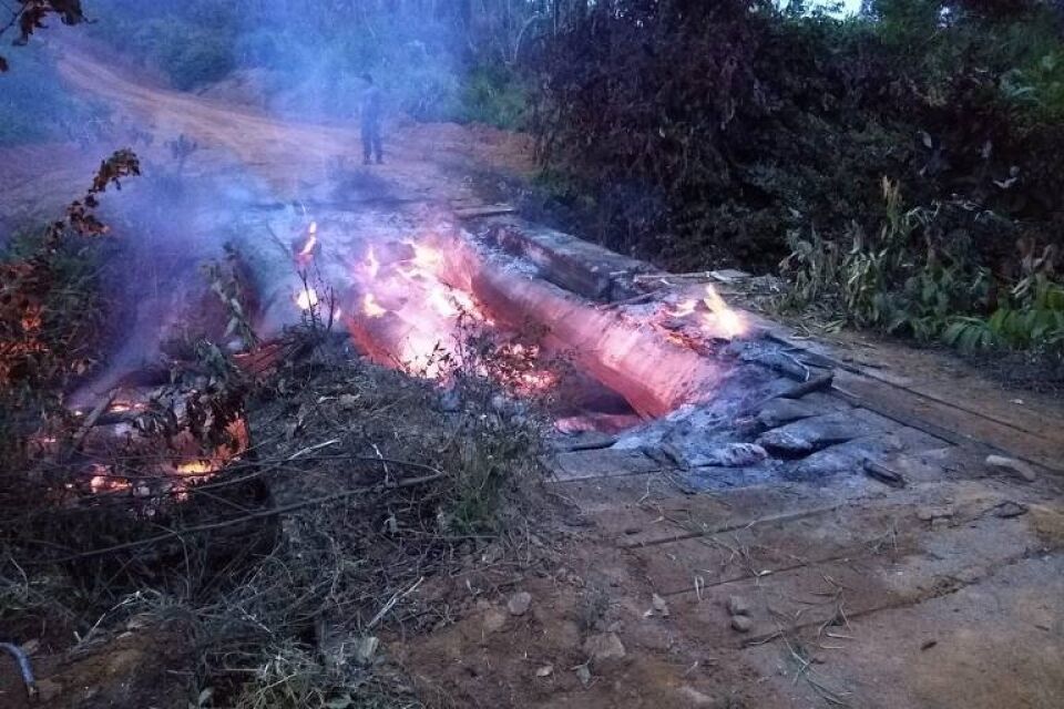 Equipes de Ibama e Chico Mendes sofrem ataques durante desmatamento ilegal