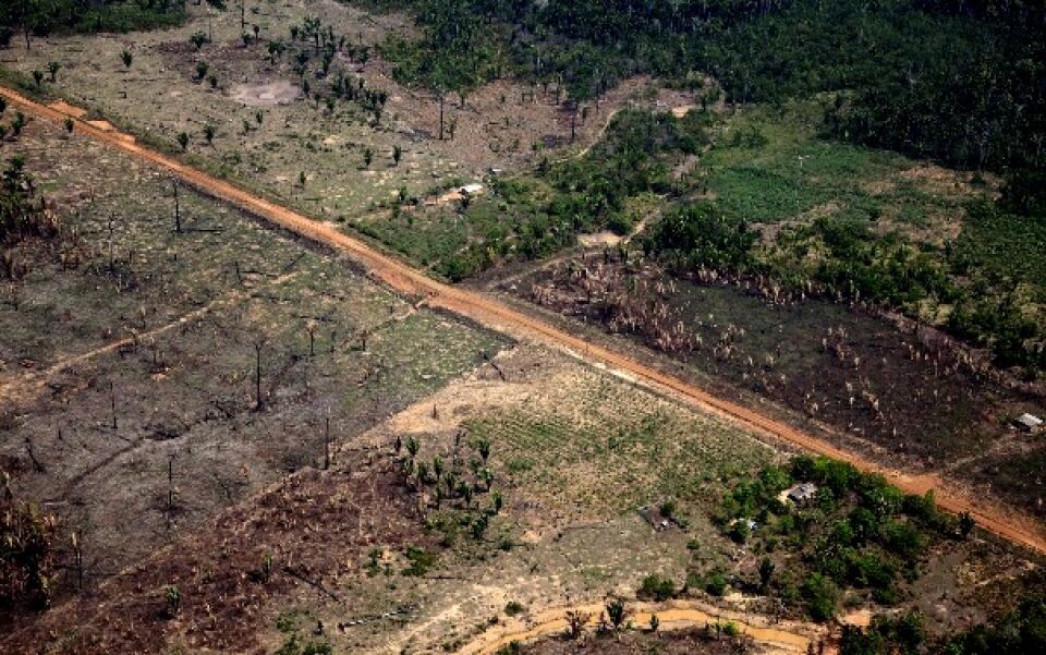 Sofre, Amazônia