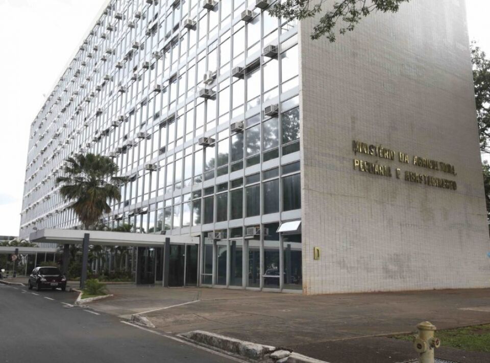 Equipe de Bolsonaro confirma fusão de Agricultura e Meio Ambiente