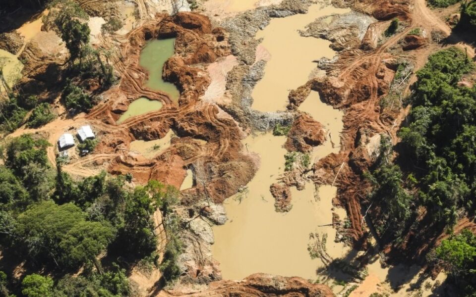 Bacia do Xingu teve 150 milhões de árvores derrubadas em 2018